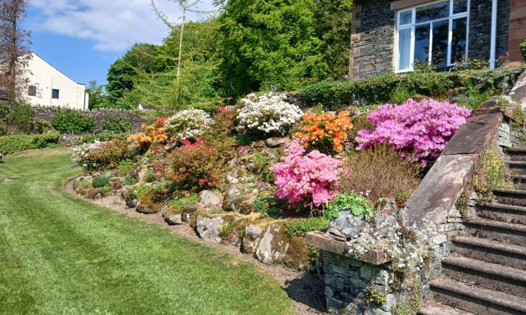 Link - Garden Maintenance