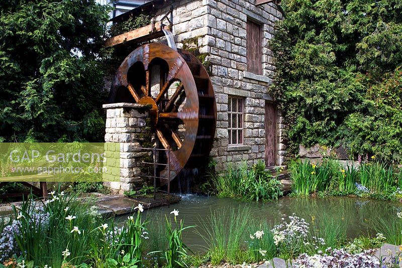 Photo - Photo - Chelsea Flower Show Winner